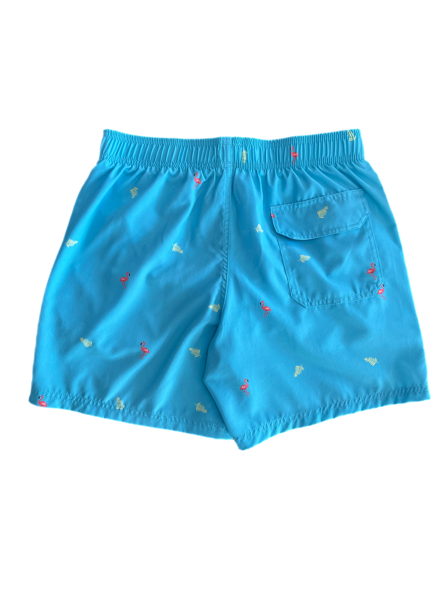 Mens Swim Short -Aqua