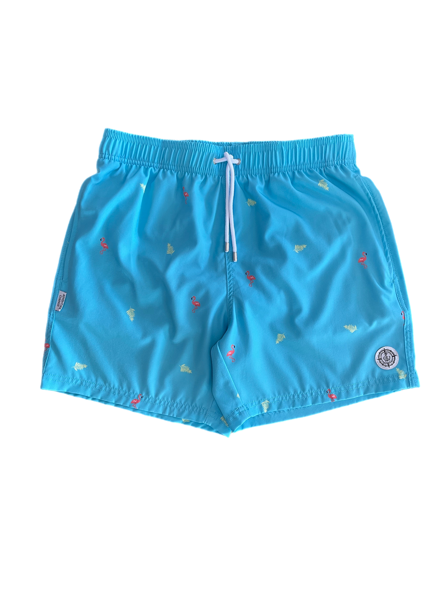 Mens Swim Short -Aqua