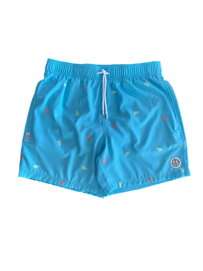 Mens Swim Short -Aqua