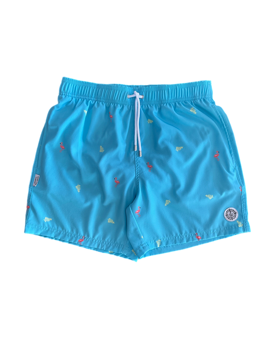 Mens Swim Short -Aqua