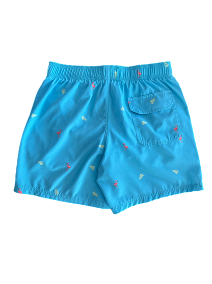 Mens Swim Short-Turquoise