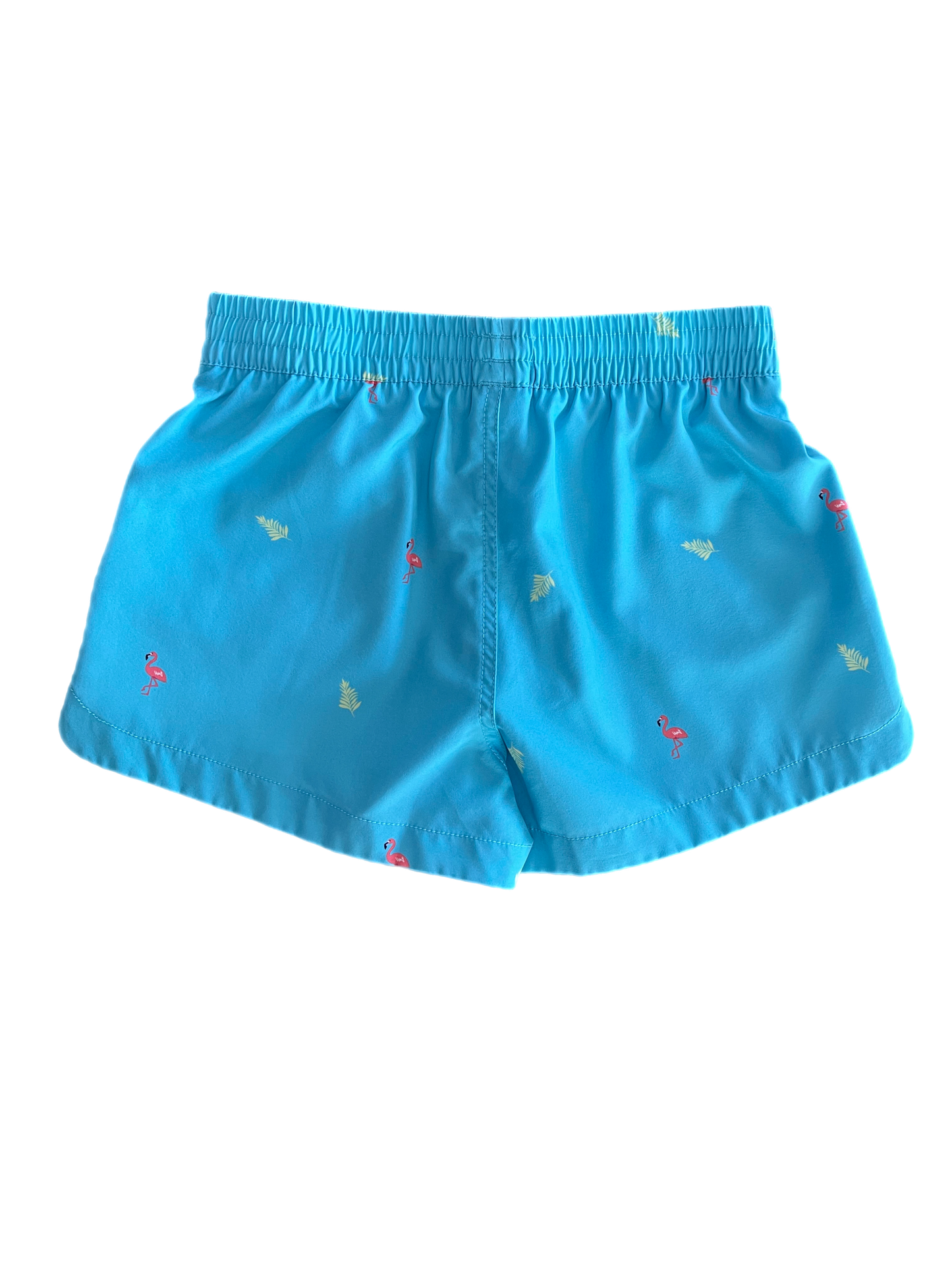 Women's Shorts-Tropical