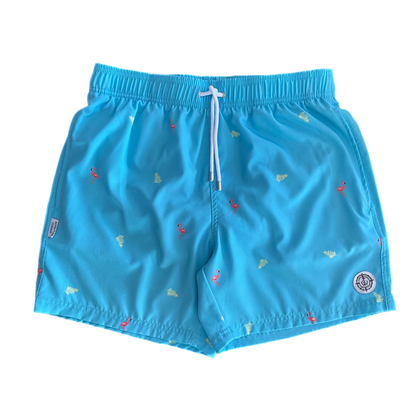 Mens Swim Short-Turquoise