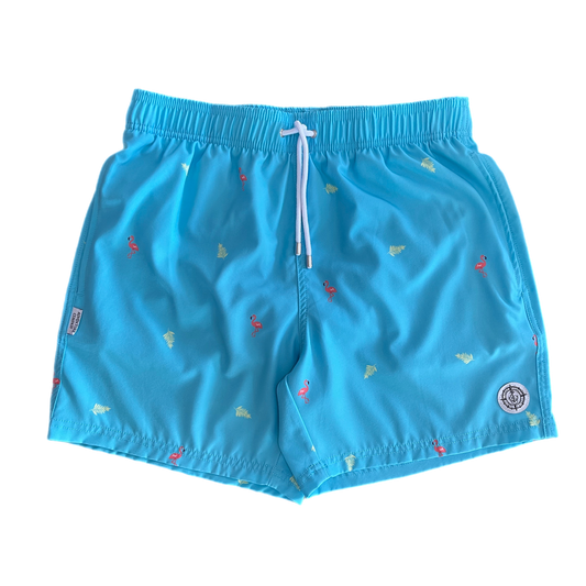 Mens Swim Short-Turquoise